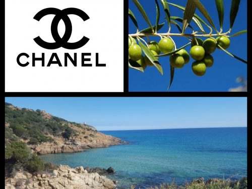 Chanel e le olive sarde: nuovo siero della giovinezza. La Sardegna zona blu