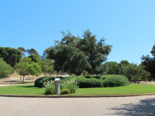 I 4 parchi più belli di Cagliari.